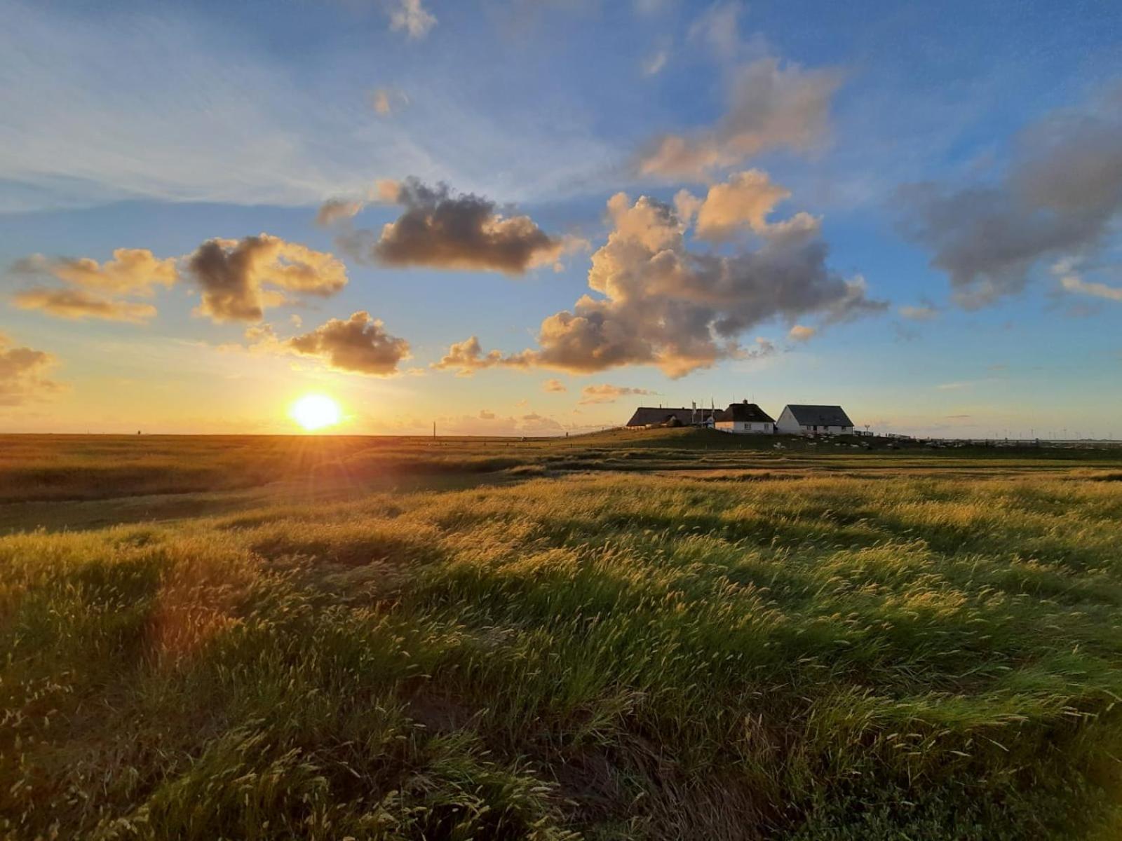 Nordsee Bauernhof Familie Wulff Fewo "Suedfall" Reußenköge Eksteriør billede
